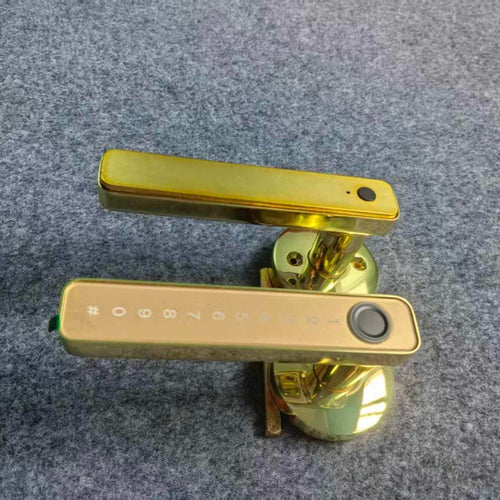500661419-1